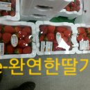 용기네 농장 이미지