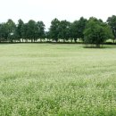 물돌이농장 이미지