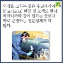 생활속에 자동차 이미지