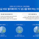 믿을미디어