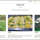 숙이네농산