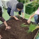 중리할머니경로당 이미지