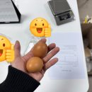 모든자동차 | 🥚STEAM 융합교육_ 종이자동차 만들기 수업 후기