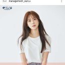 매니지먼트 은유 이미지