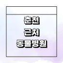 원평리 | 춘천시 근처 동물병원 추천 잘하는곳 정보 새벽 야간 치료 수술 후기 고양이 강아지 중성화