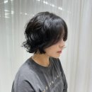 나영파크 이미지