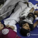 라파농장 이미지