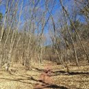 선석산 등산로 이미지