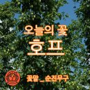 꽃말호프 이미지