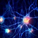 메디하임효병원 이미지