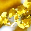 흙이랑별 이미지