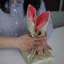 라이프쉐어 주식회사