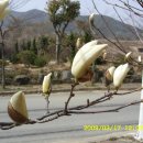 섬지기 이미지