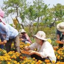 원예농장 이미지