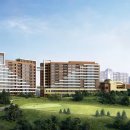 소노펠리체 델피노 이미지