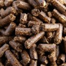 정원동물병원 이미지