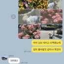 이솝 유치원 | 푸르던 5월 결산