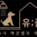 유폴24시 애견셀프목욕 이미지