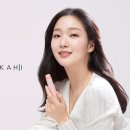 주식회사 가히 이미지