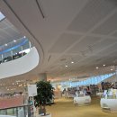 [제주한달살기] 쫑파티ᆢ240605ᆢ제주올레길 BAC100 한라산 완주 축하파티