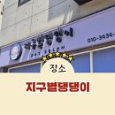 지구별댕댕이 | 내마음에 꼭 드는 용인 애견미용샵 🐶💛 지구별댕댕이 (비숑 미용 추천)