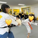 JL태권도장 | [갈현동태권도 과천지정타태권도] JL태권도 제 1회 승급 심사&amp;공개 수업