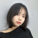 하이하이디 이미지