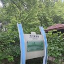 송도 새아침공원 | 송도 새아침공원 #8