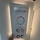 강남 컬러플레이스 본점 퍼스널컬러 진단 컨설팅 후기 :: 여름뮤트 화장품 추천, 연예인, 옷 내돈내산
