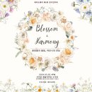 제5회 제주도레미 정기연주회 | 제주 클래식 공연 정보 3월 2일 제주도레미 정기연주회