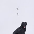 몽그라피 이미지