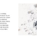 비케이 이미지