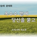 옥수수 밭에 당신을 묻고 이미지