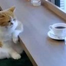 덕정의원 이미지