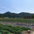 덕두농장 이미지