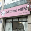 유독(dog) 이쁜날 | 원주 단구동 애견미용 유독(Dog) 이쁜날