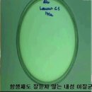 선옥 이미지