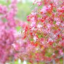 은행유치원 이미지