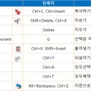 [Sketch Up] 스케치업 단축키 및 단축키 설정 이미지