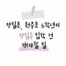 리체움교육 이미지