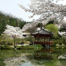 은혜동산 이미지