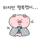 하치쇼핑