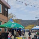 주읍리산수유꽃마을 이미지