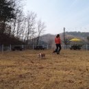 박순호의 아이슬란드 이미지