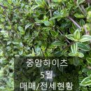 스마트부동산중개주식회사 이미지
