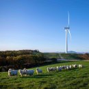 기조목장 이미지