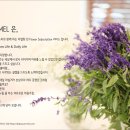 꽃바바 이미지