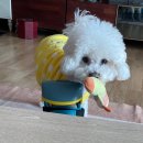 넘버원정형외과의원 | 발가락 골절 후기 / 발가락 보라색 피멍후기 / 넘버원정형외과 후기글