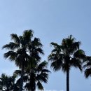 사계영농조합 | [아무튼, 휴직] 16. 5월의 제주도: 오피스 제주 후기