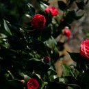 갑을여인숙 이미지